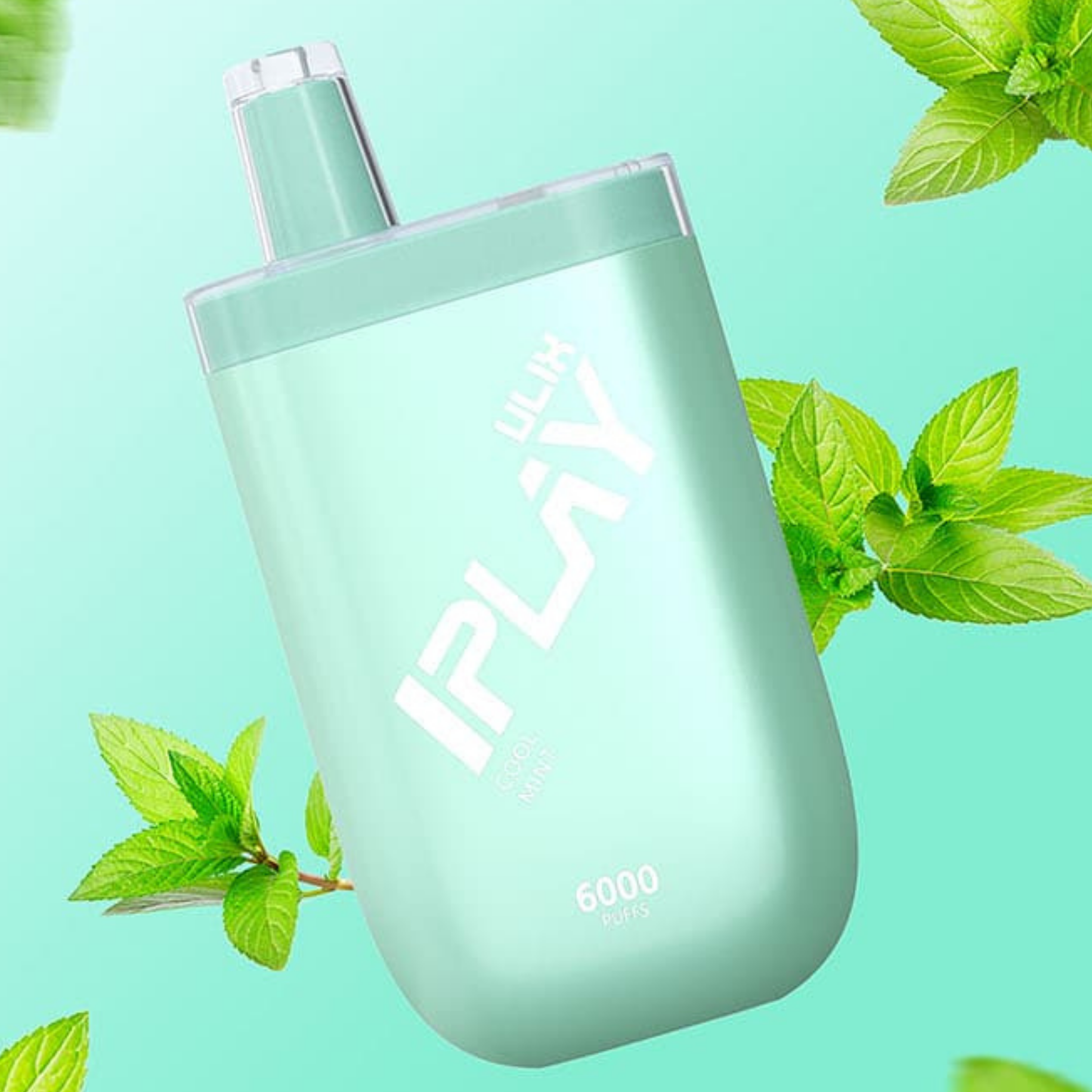 6000 COOL MINT